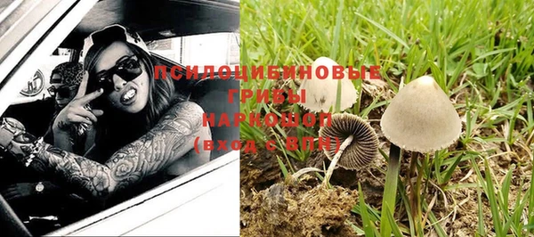 соль курить ск Белокуриха