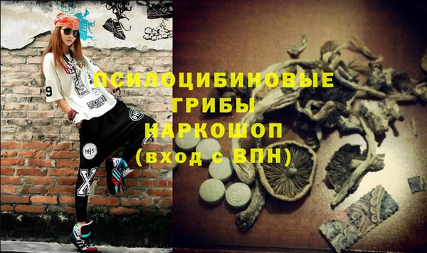 соль курить ск Белокуриха